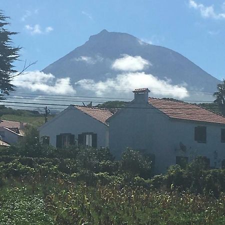 Home Pico - Casa Dos Cedros Criacao Velha Esterno foto